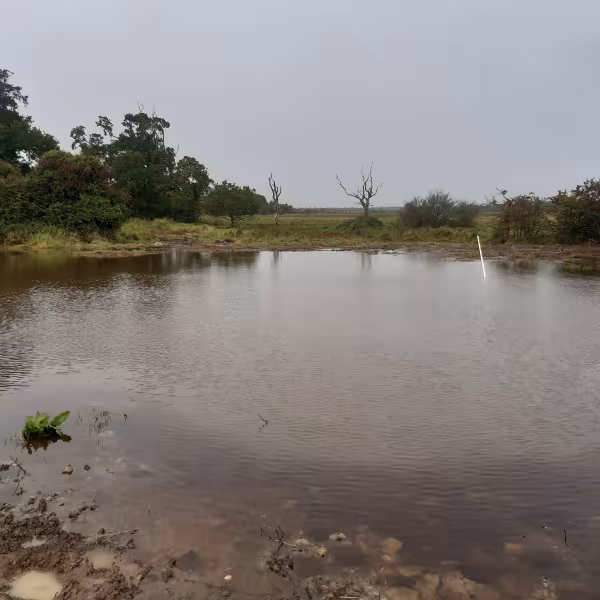 Turvey Works September 2023