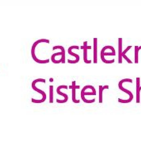 Unlock your Creativity with Castleknock Sister Shed