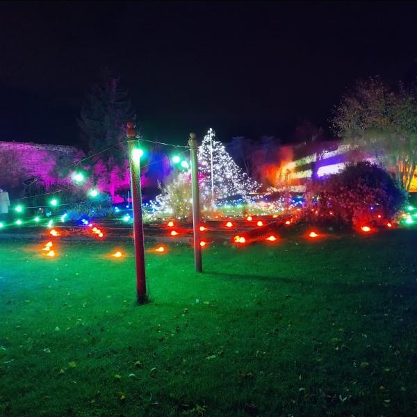 Festive Lights at Shackleton Garden