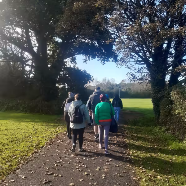 Woodlands for health autumn Newbridge2.jpg