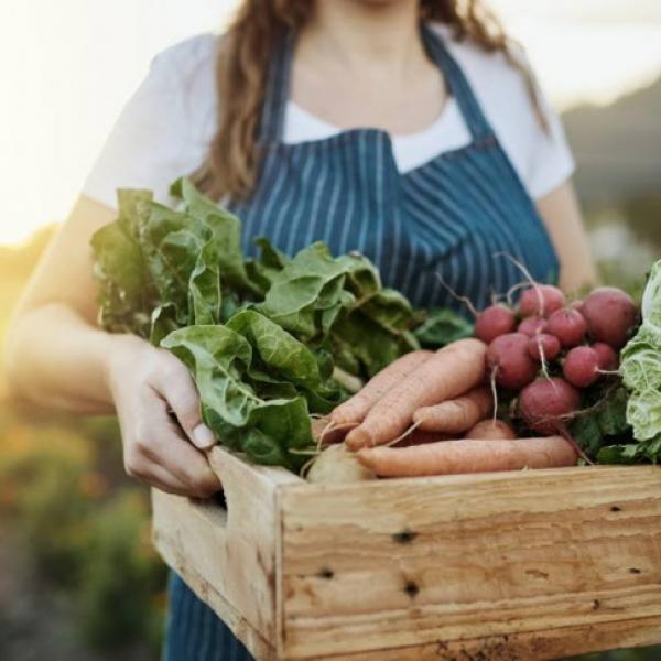 A Climate Friendly Kitchen with the Sustainable Life School