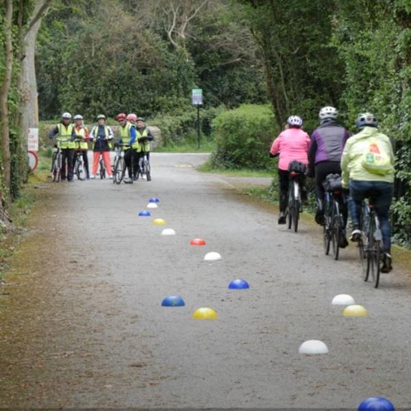 adults cycling on bikes