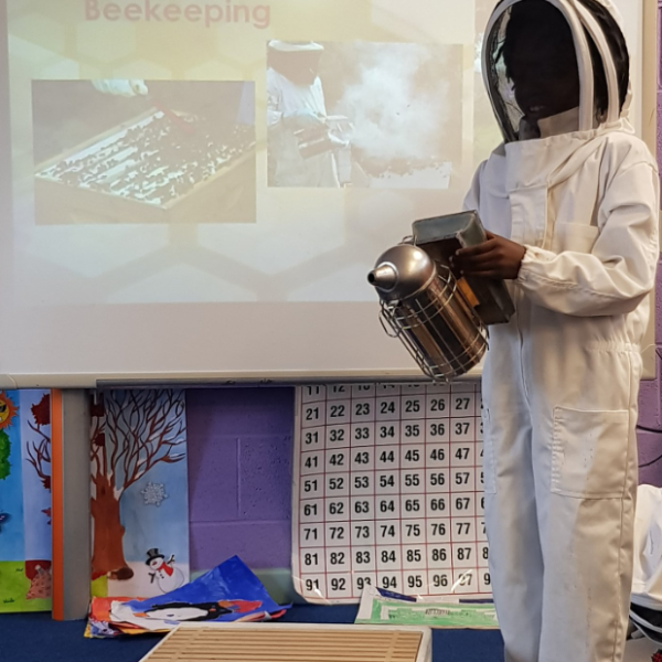 Pollinator workshop with Edel Heeran