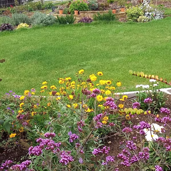 Summer Plant Care Workshop with Marie Hirst
