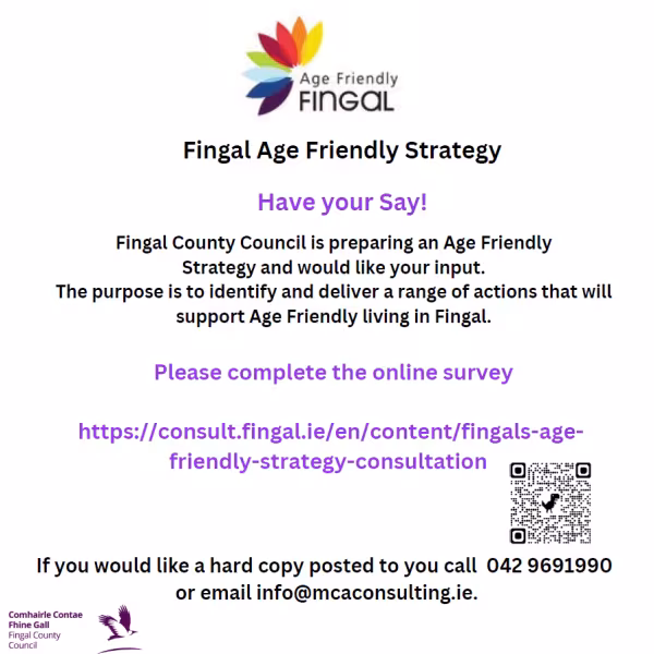 Age friendly strategy survey