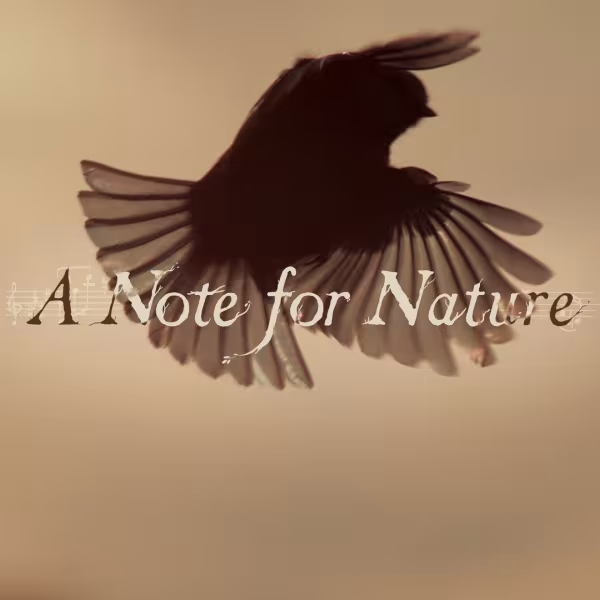 A Note for Nature