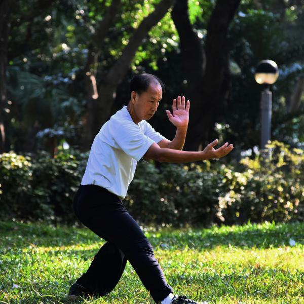 Tai Chi course   with Stephen Pentony
