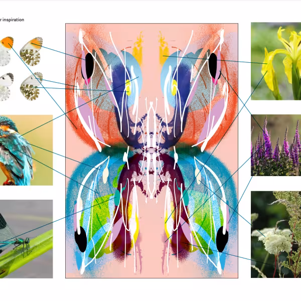 James Earley – The Butterfly Effect 