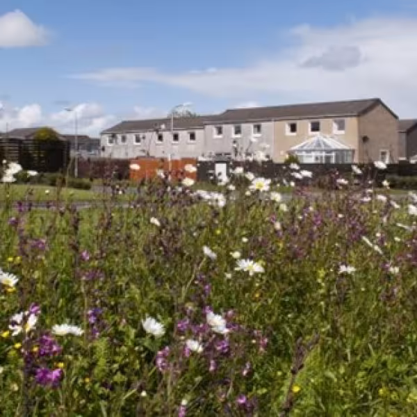 Fingal County Council is looking for resident associations to put forward their estate for a biodiversity makeover. 