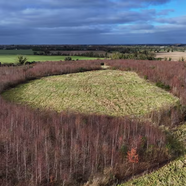 An aerial shot of the Ecological Habitat