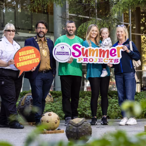 Summer projects 2025