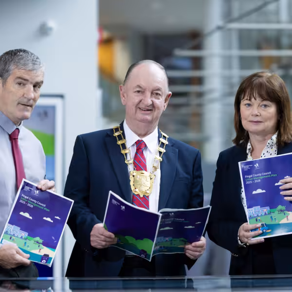 Fingal Litter Management Plan 2025-2028