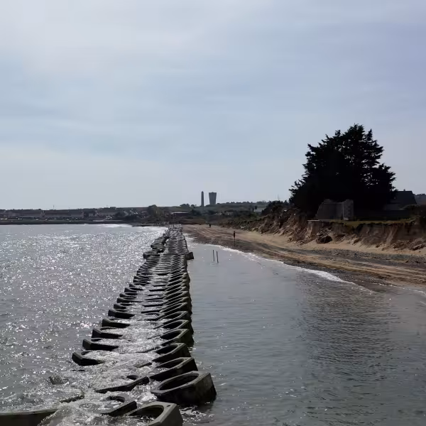 Seabees on Burrow Beach, Portrane