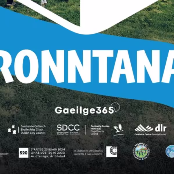 Bronntanas 2025 will host events in Irish this weekend in libraries across Fingal