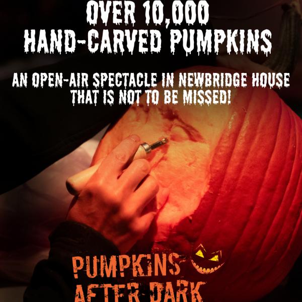 Pumpkins after dark