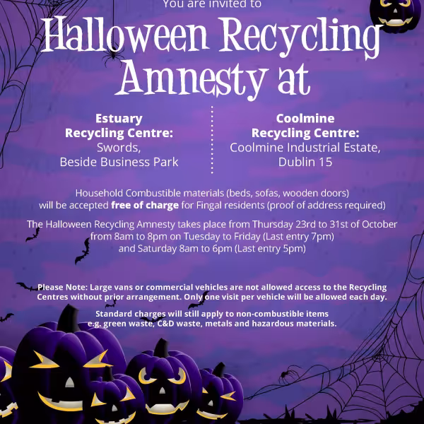 Halloween Recycling Amnesty 2025
