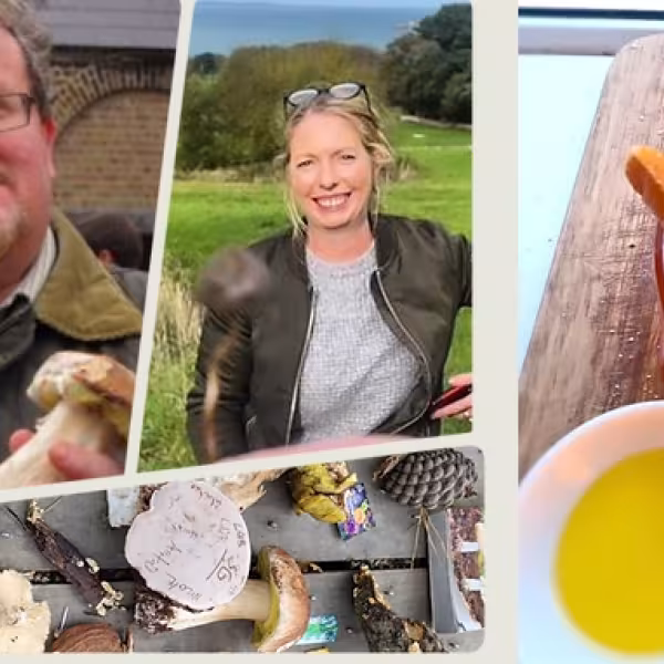 Samhain Mushroom Foraging 