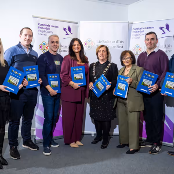 Ballyboughal Town Team