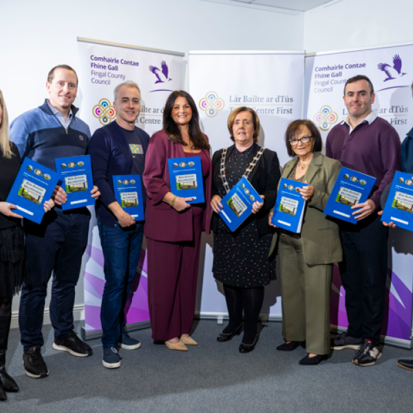 Ballyboughal Town Team