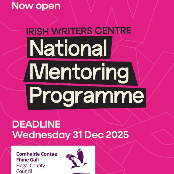 national mentoring programme