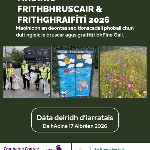 ALAG 2026 image 2 Irish.png