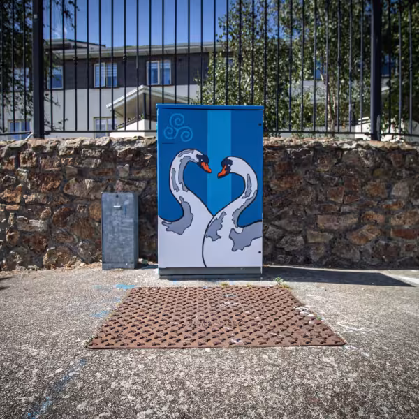 Dublin Canvas returns to Fingal this summer! 
