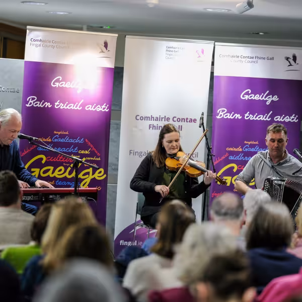 Seachtain na Gaeilge 2026 county hall