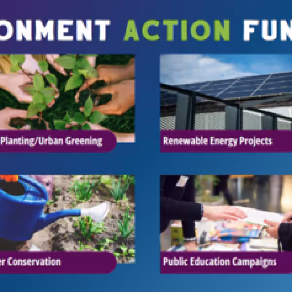 LEAF Funding Boost for 30 Fingal Community Projects