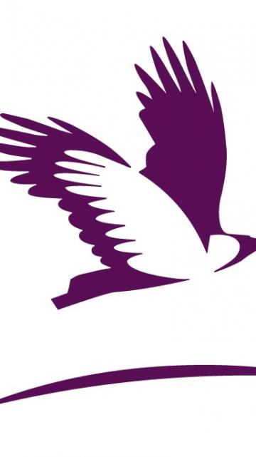 Fingal County Council Logo