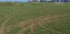 Dannys Pitches Vandalism