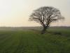 Fingal field near Lissenhall CREDIT Christine Baker Fingal County Council Heritage Officer.JPG