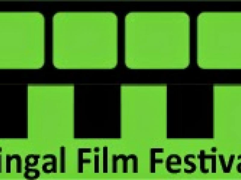 Fingal Film Festival