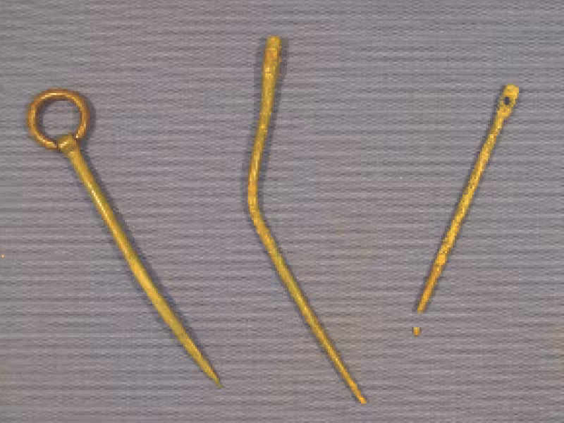 Flemington pins300x217