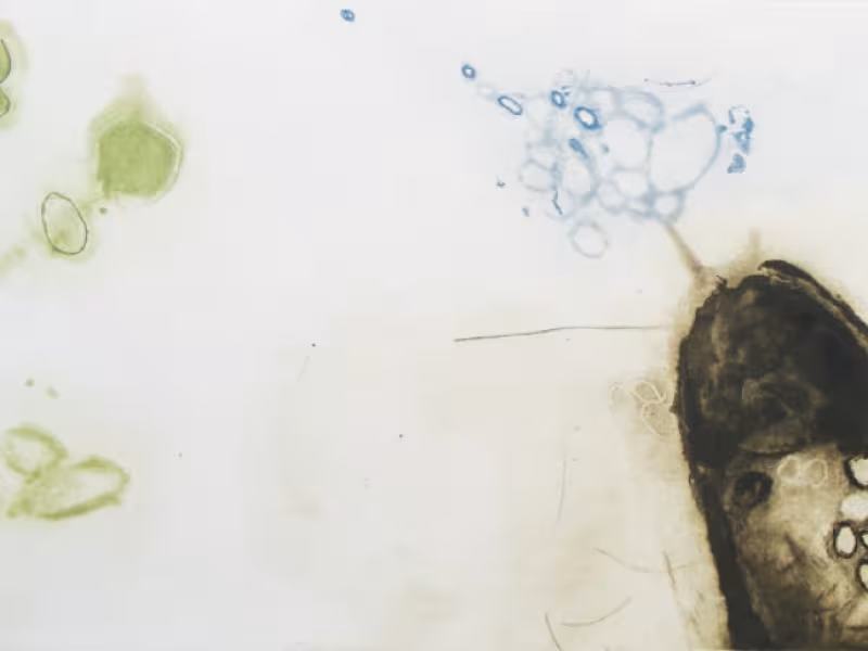 Mary Fitzgerald, Well Spring