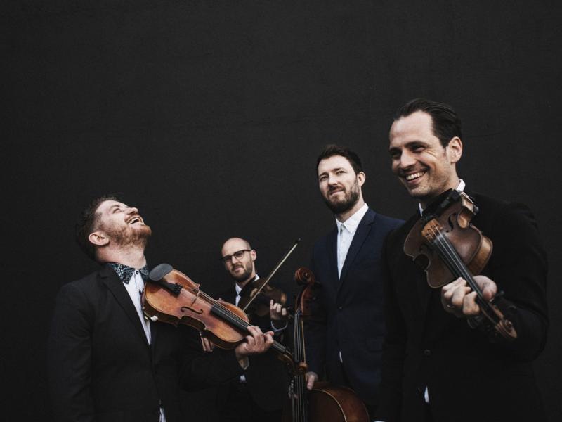 The Fretless