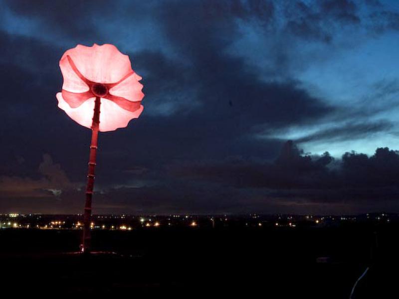 Douglas Mooney, M1 Poppies