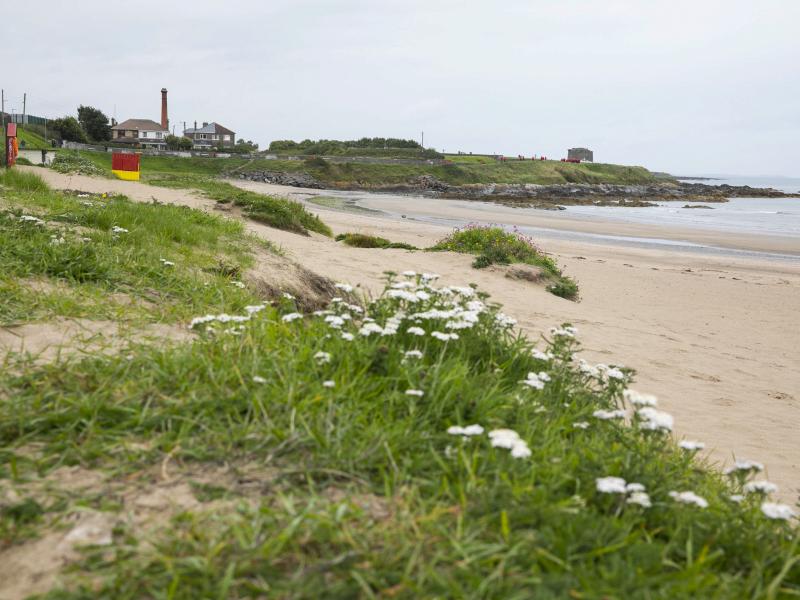 Balbriggan Beach 5