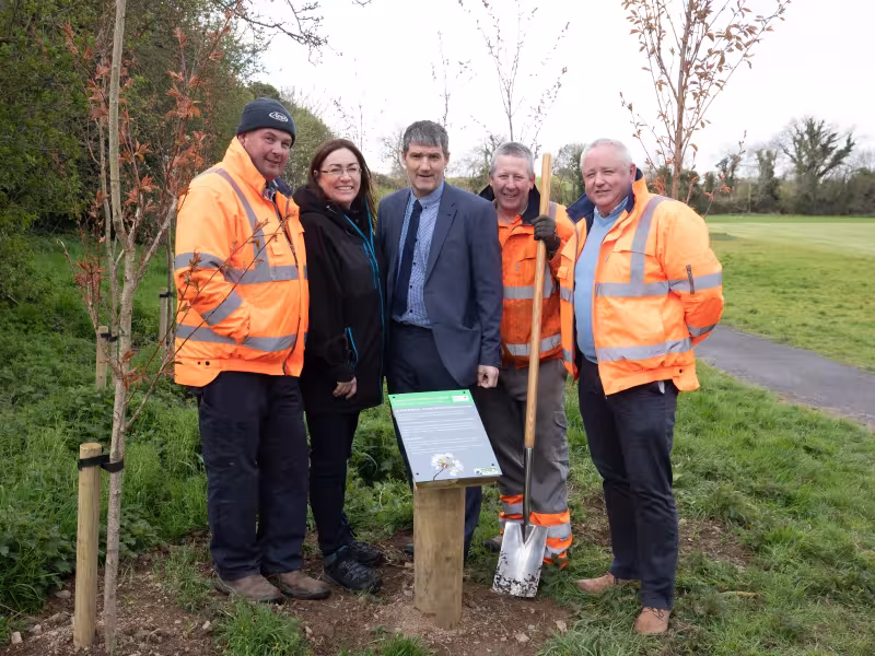 Aileen Dave Fingal gang