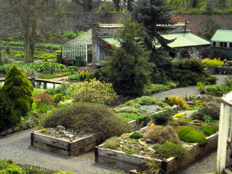 Raised mineral beds 1986