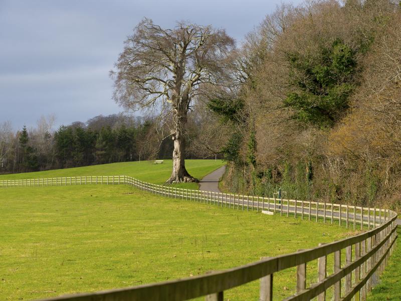 St.Catherines Park 