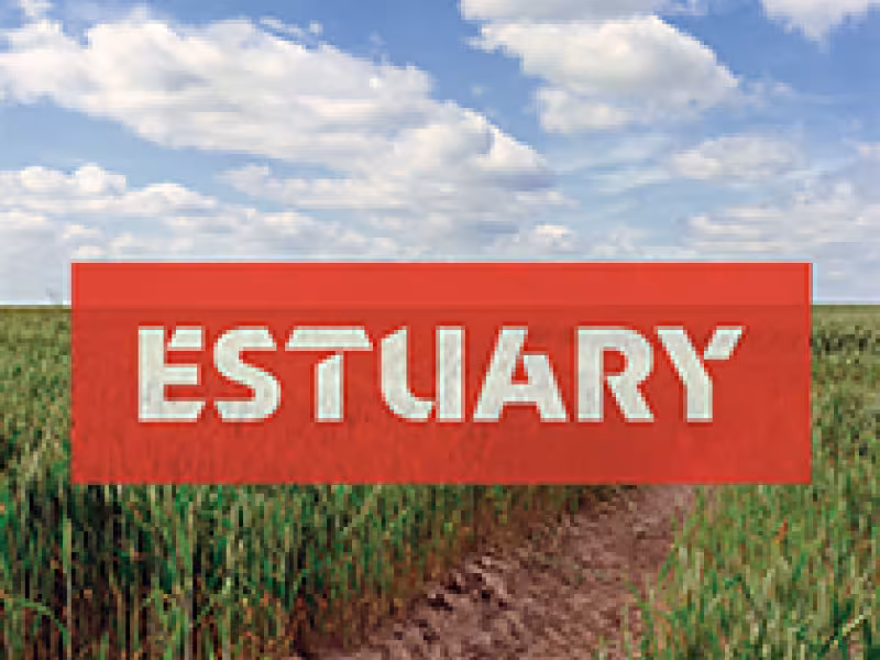 Estuary