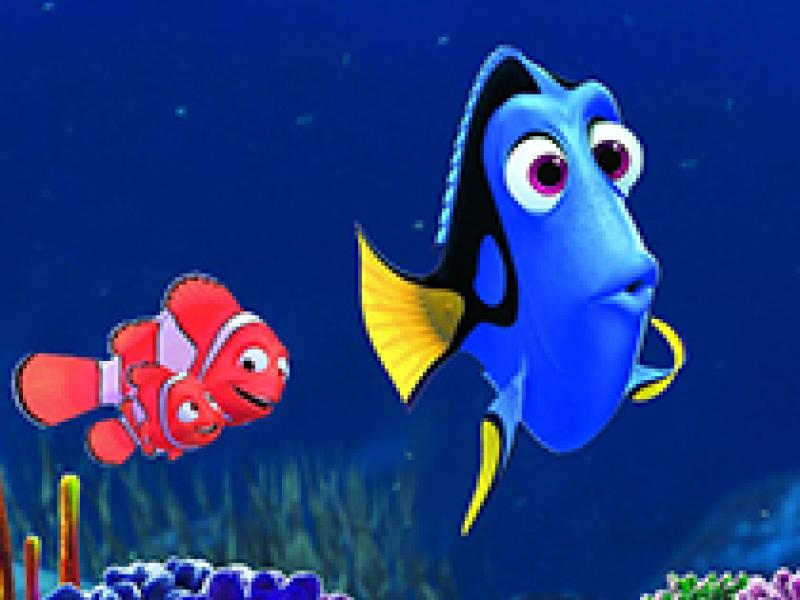 Finding Dory