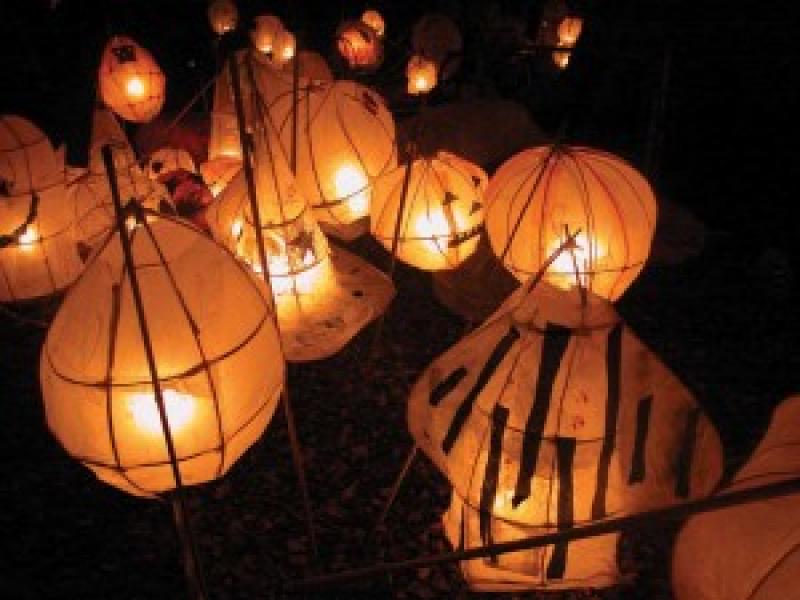 Make a Halloween Lantern 
