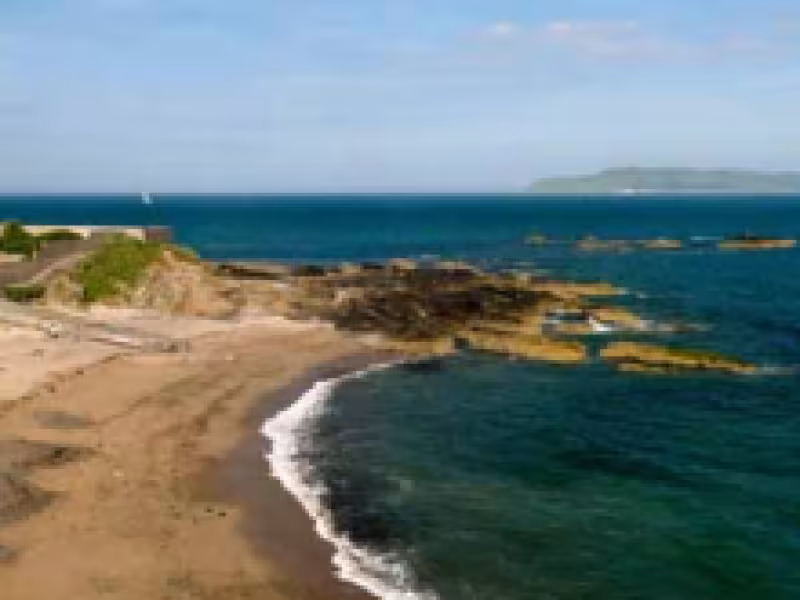 Climate change action plan 3