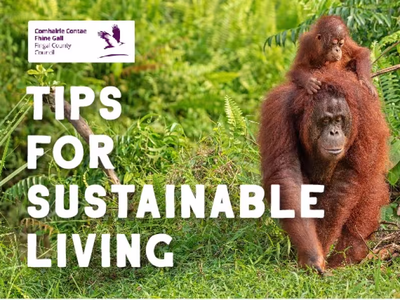 sustainable living tips