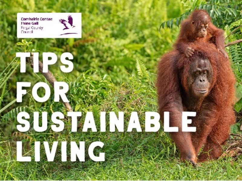 sustainable living tips