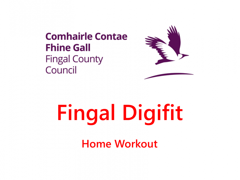 Fingal Digifit Logo