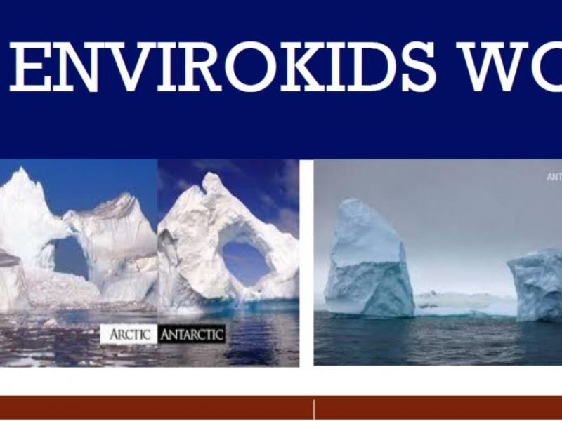 Arctic