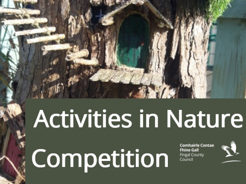 nature comp