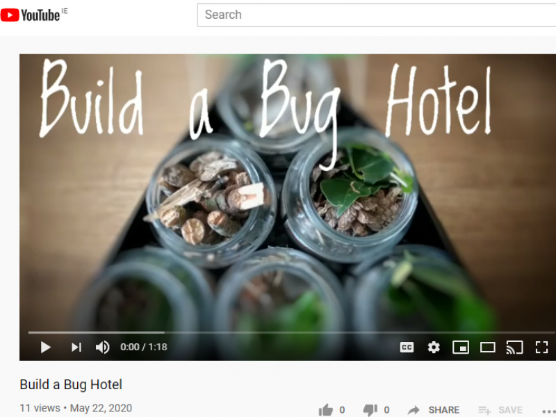 bug hotel (002)
